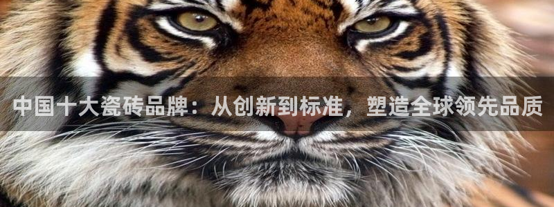 富联娱乐开户费用查询表