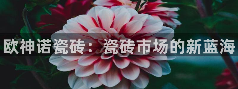 富联娱乐首页官网下载