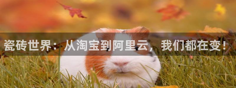 富联娱乐解究7276O