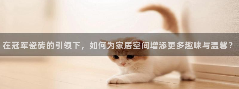 富联娱乐地址查询系统