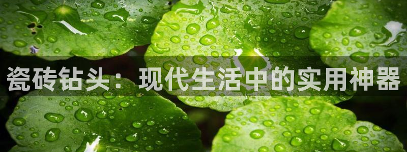 富联娱乐官网下载安卓版