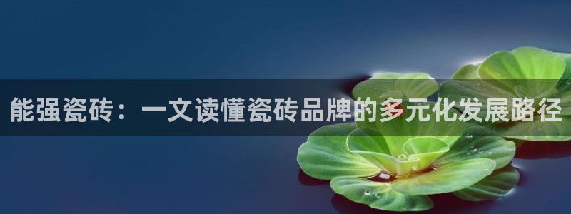 富联娱乐主管前原判官333OO