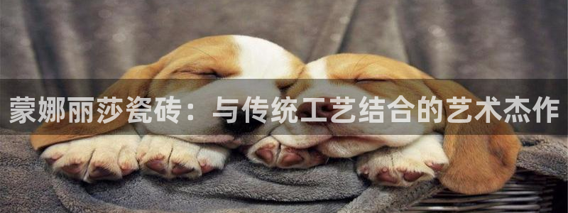 富联娱乐资讯官网首页