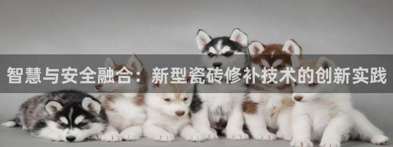 富联娱乐代理是谁的产品