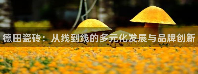富联娱乐与六七五一38