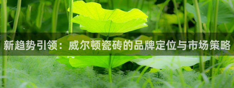 富联娱乐主管经判官333OO