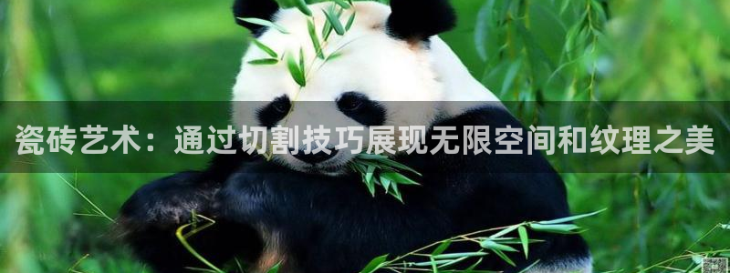 富联娱乐代理是谁做的呀