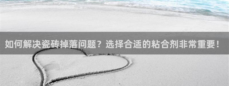 富联娱乐总裁简介图片