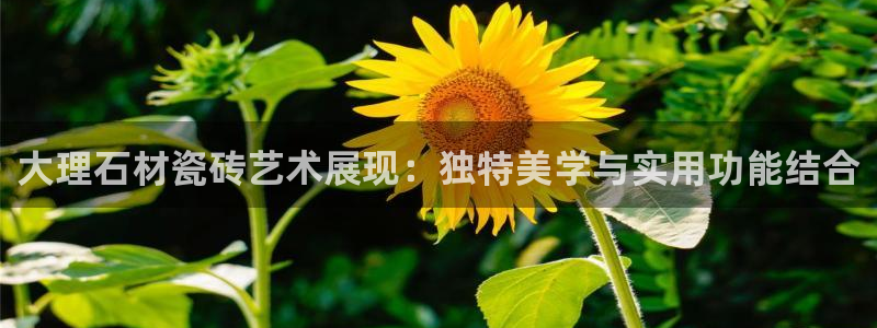 富联娱乐官方网站