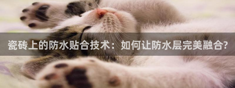 富联娱乐QQ