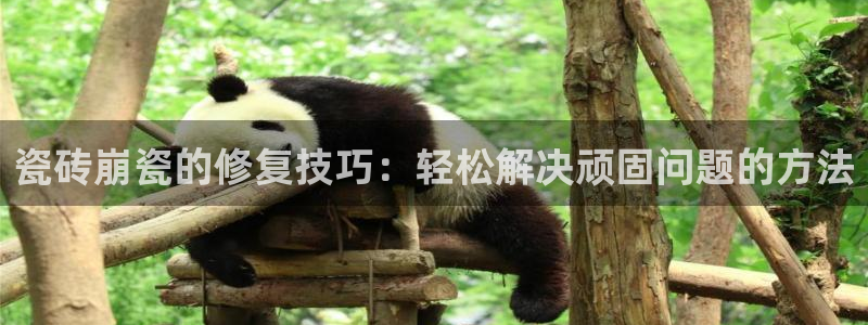 富联娱乐注册21192