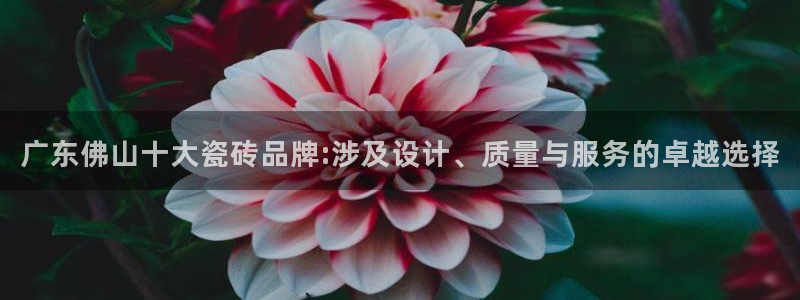 富联娱乐总裁简介图片高清