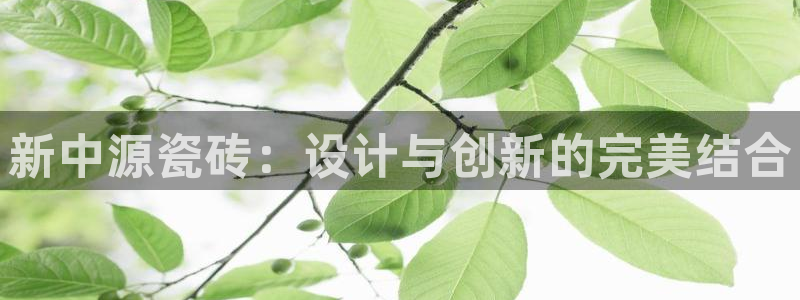 佰富联娱乐团购是正品吗