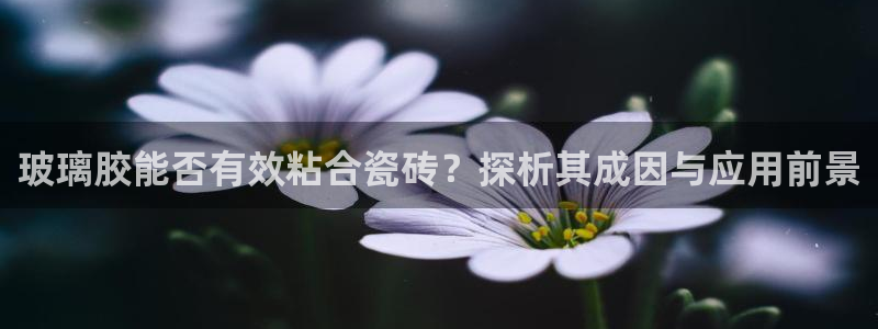 富联娱乐招商电话