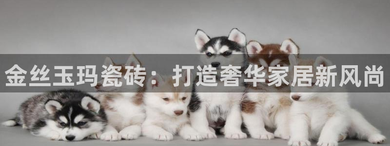 富联娱乐下载官网网址