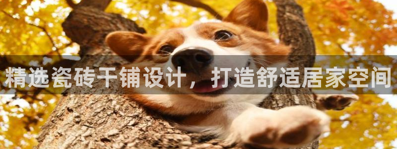 富联娱乐注册量判官333OO