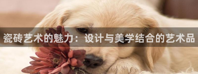 富联娱乐官方网站下载手机版