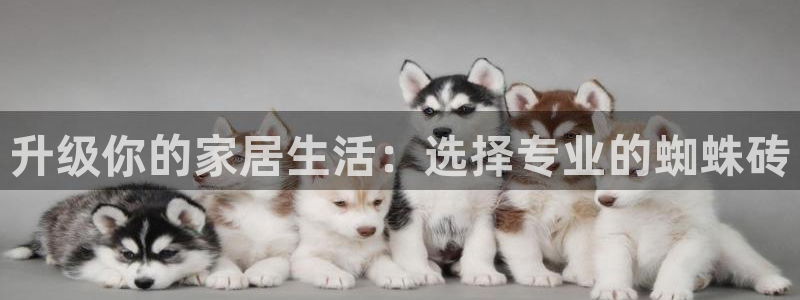 富联娱乐客户端官网登录