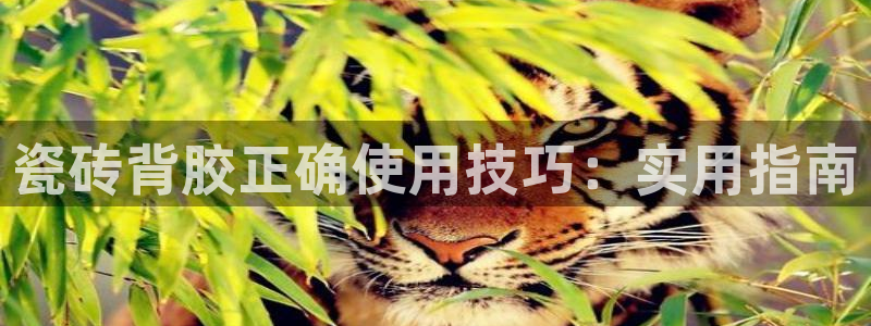 联富市场2楼娱乐场