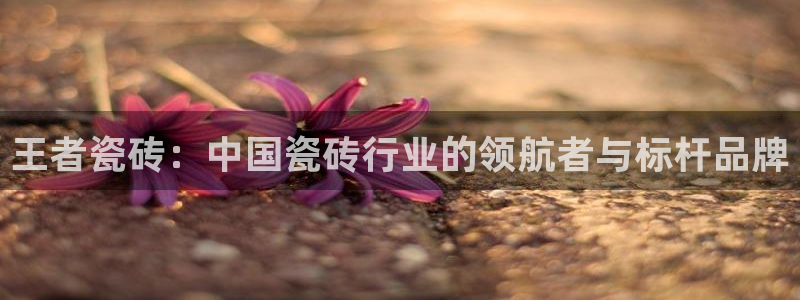 富联娱乐注册码判官333oo