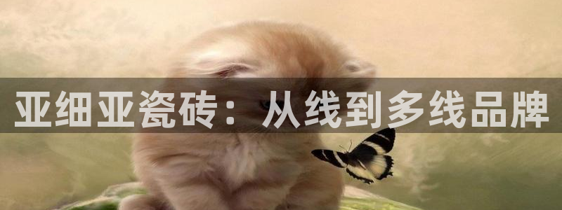 富联娱乐客户端登录不上