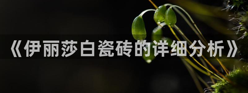 富联娱乐登录链接在哪看