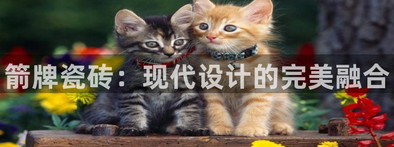 富联娱乐代理是谁的