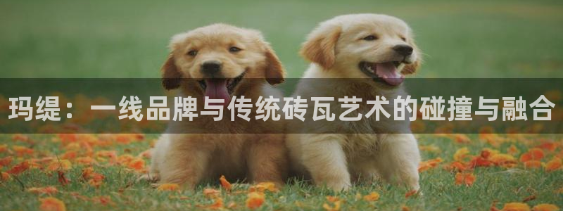 富联娱乐平台登录不上