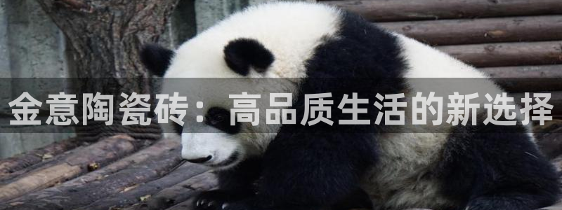 富联娱乐注册地址在哪里