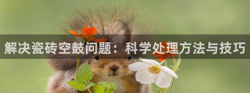 富联娱乐服务站地址