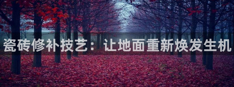 富联2娱乐平台注册不了