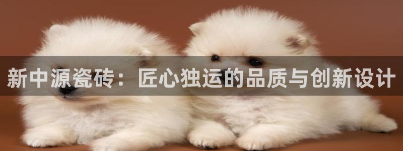 富联娱乐平台是什么公司