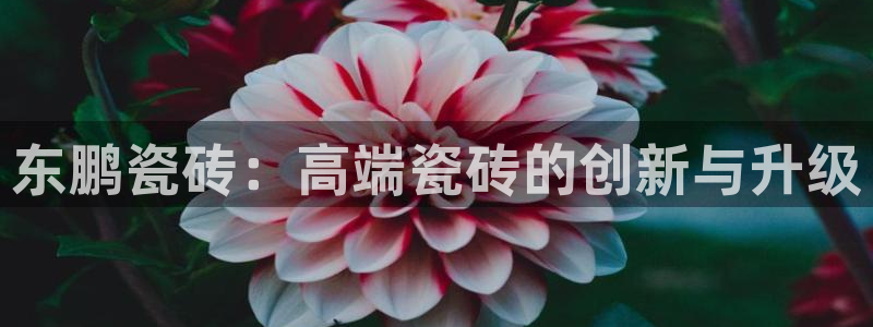 富联娱乐注册食判官333OO