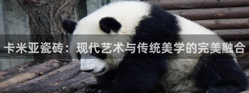 富联2娱乐资讯官网下载