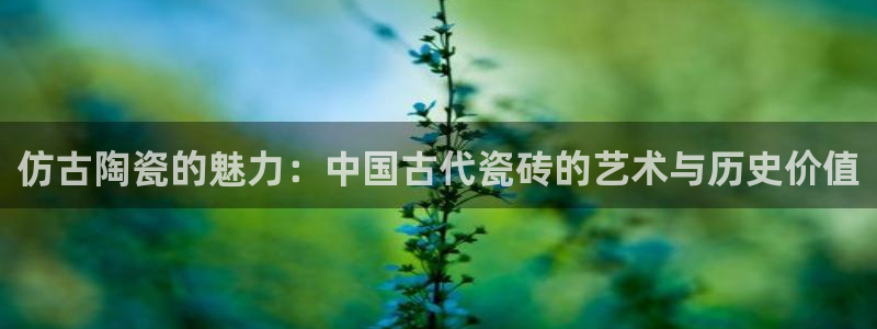 富联2娱乐注册地址在哪