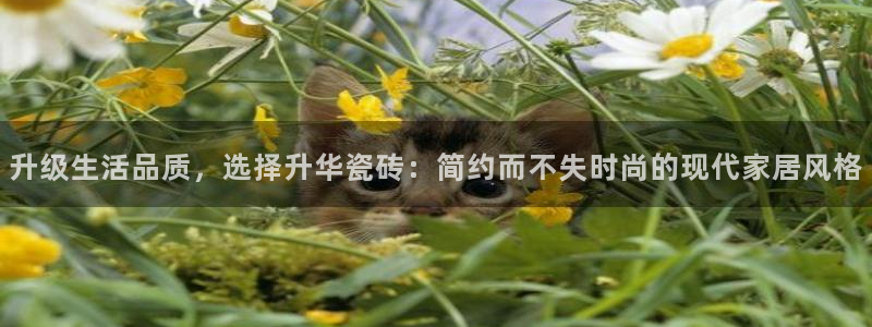 富联娱乐注册认判官333OO