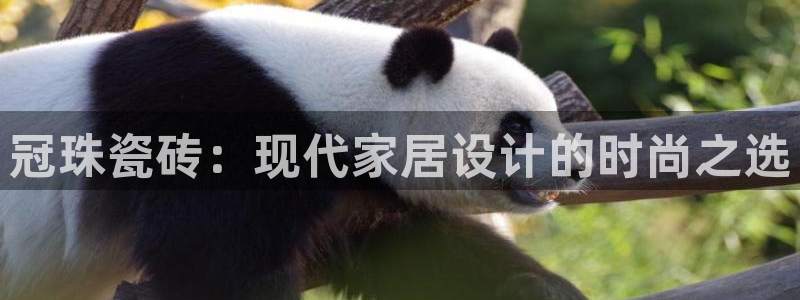 富联娱乐主营业务是什么