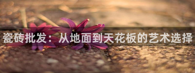 富联娱乐代理电话