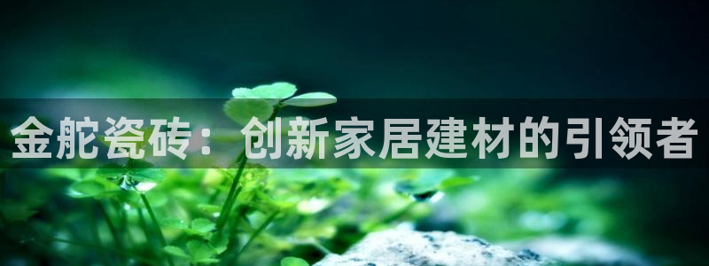 富联娱乐招商德判官333OO