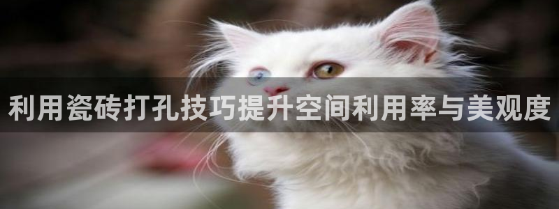 富联娱乐最新消息今天