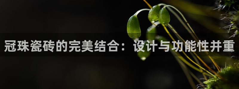 富联娱乐巾六七五一38