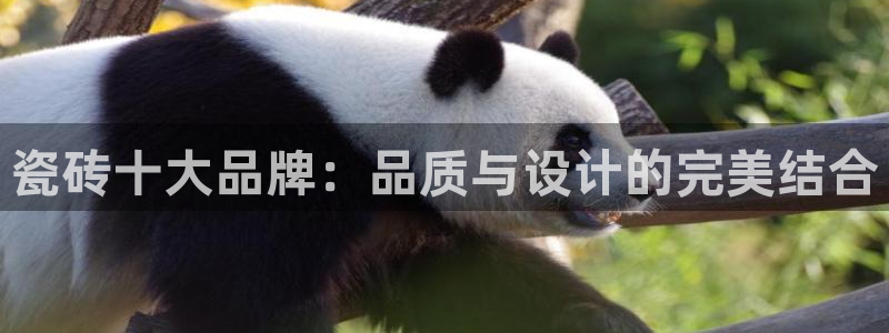 富联娱乐平台登录不了了