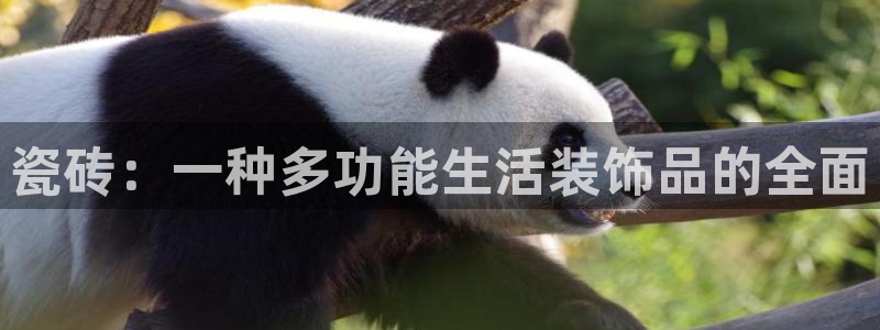 富联娱乐注册教判官333OO