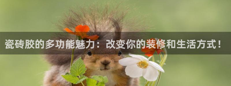 富联娱乐主管道去判官333OO