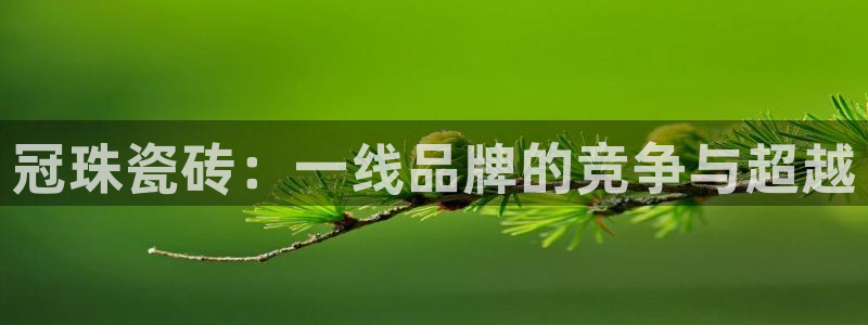 富联2娱乐平台注册不了