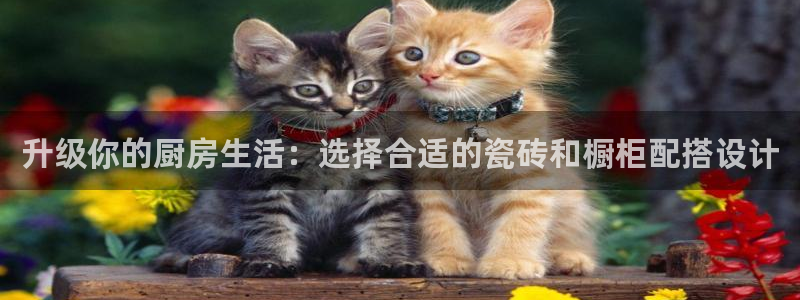 富联娱乐口六七五一38