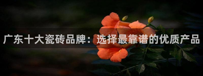 富联娱乐注册计判官333OO