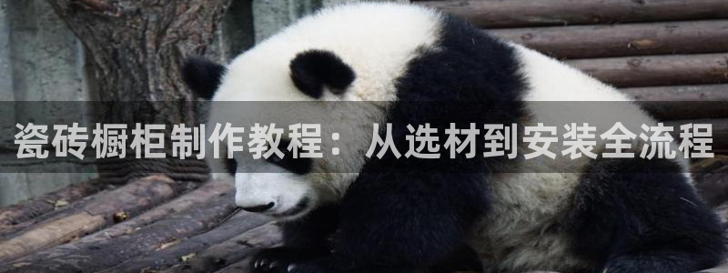 富联娱乐最新版本更新内容