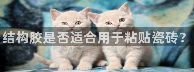 富联娱乐开户流程