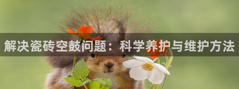 富联娱乐招商置判官333OO